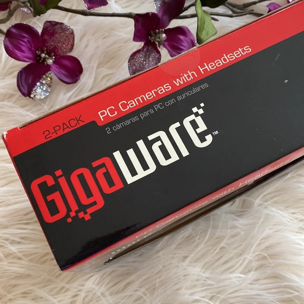 GIGA WARE 2/pack cameras with headsets